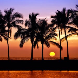 The Law of Medical Malpractice in Hawaii: A Survey of Basic Considerations