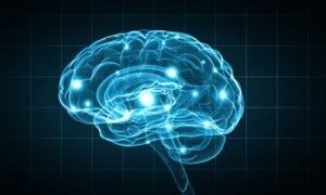 Locked-in syndrome affects the pons, an area of the brain stem that helps transmit signals between the brain and spinal cord. What Part Of The Brain Is Damaged In Locked In Syndrome?