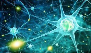 People with locked-in syndrome have damaged nerve fibers which result in quadriplegia and facial paralysis. What Are the Effects of Locked-in Syndrome on the Nervous System?